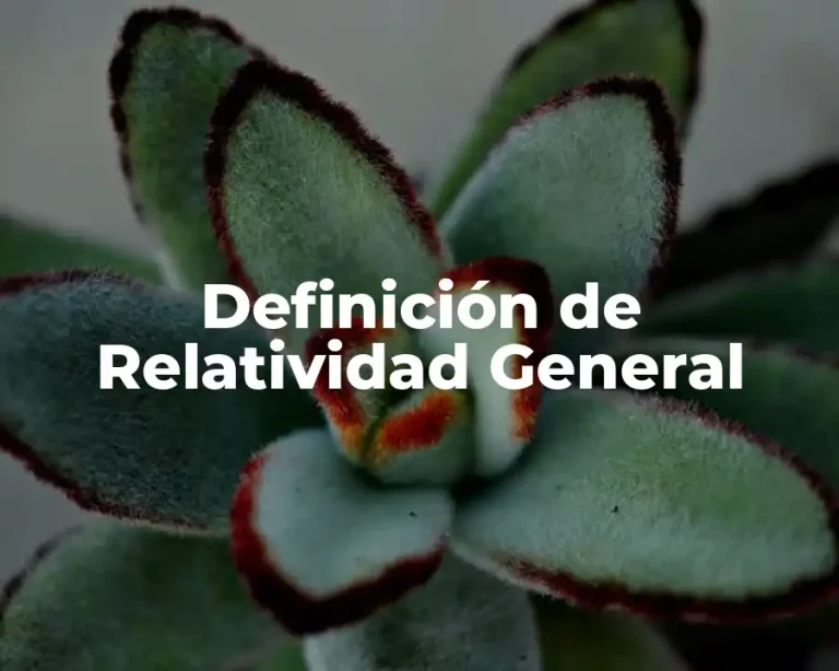 Definición de Relatividad General