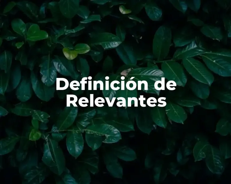 Definición de Relevantes