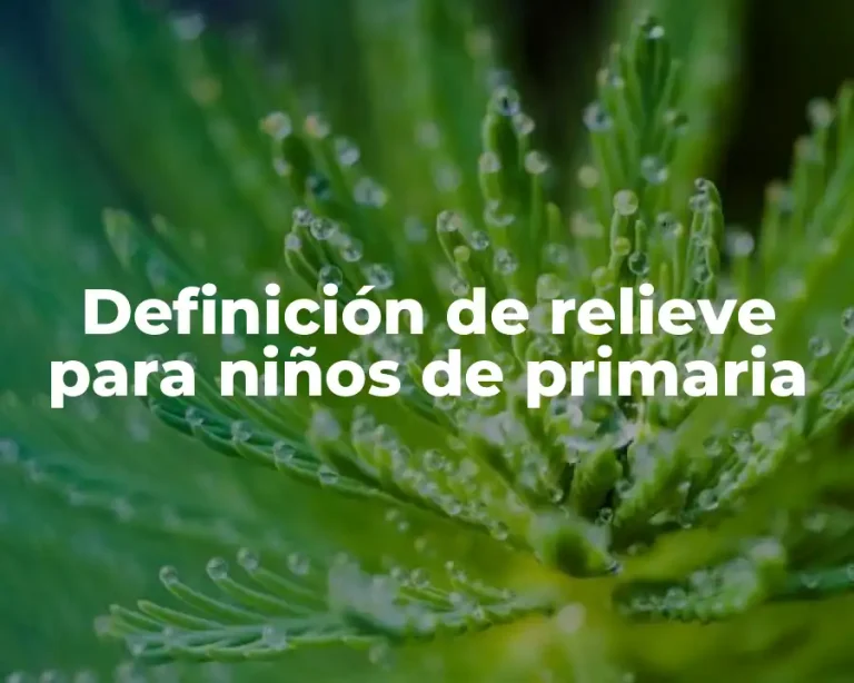 Definición de relieve para niños de primaria