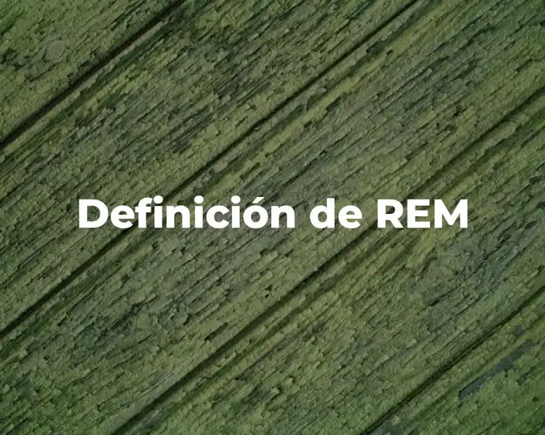 Definición de REM