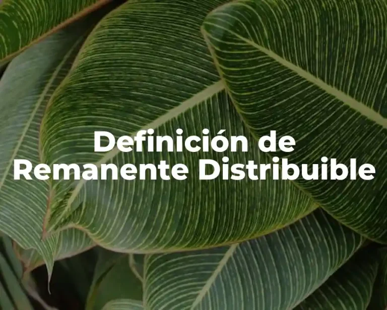 Definición de Remanente Distribuible