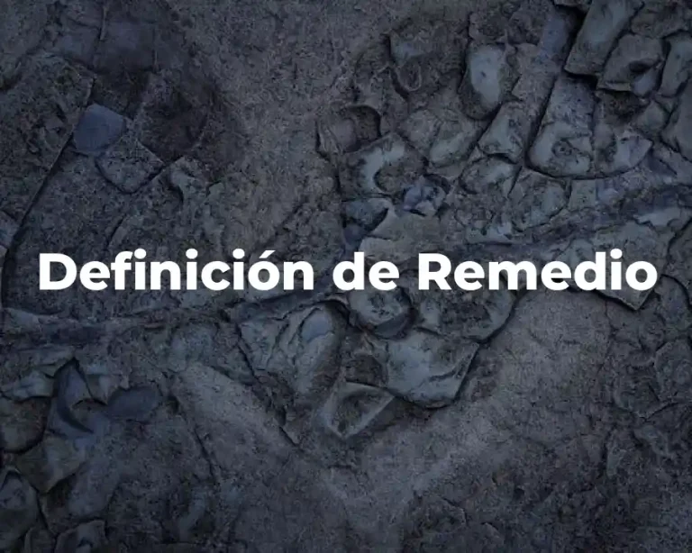 Definición de Remedio