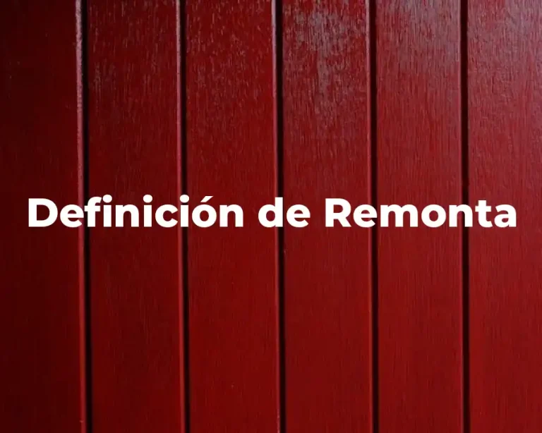 Definición de Remonta
