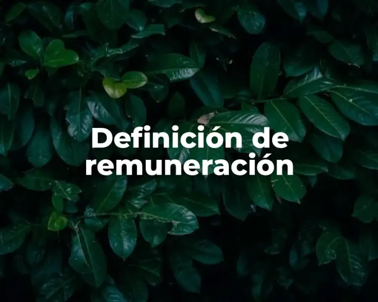 Definición de remuneración