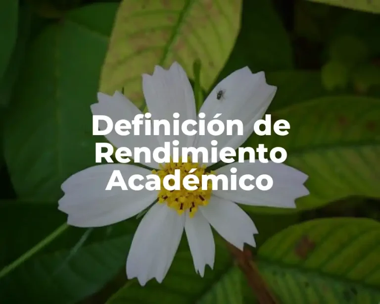 Definición de Rendimiento Académico