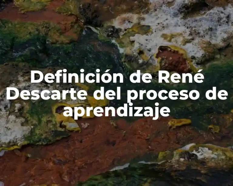 Definición de René Descarte del proceso de aprendizaje