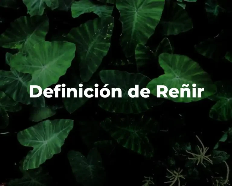 Definición de Reñir