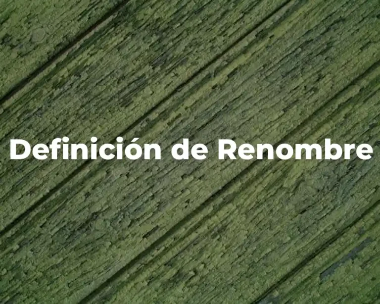 Definición de Renombre