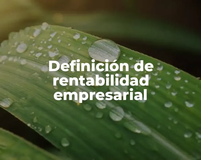 Definición de rentabilidad empresarial
