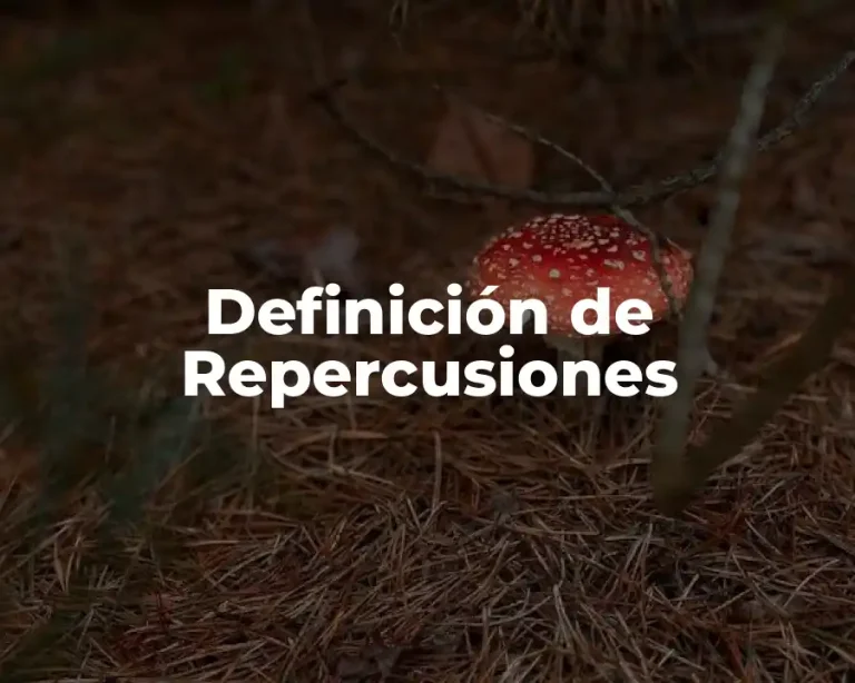 Definición de Repercusiones