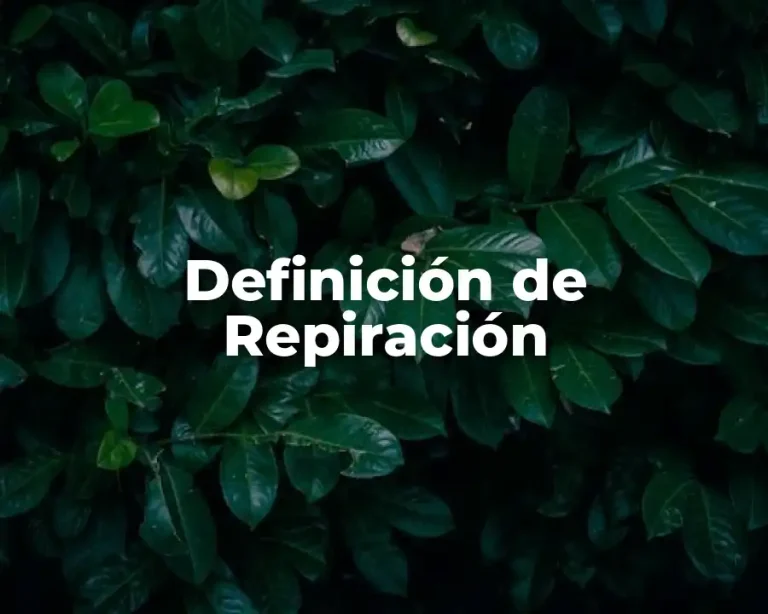 Definición de Repiración