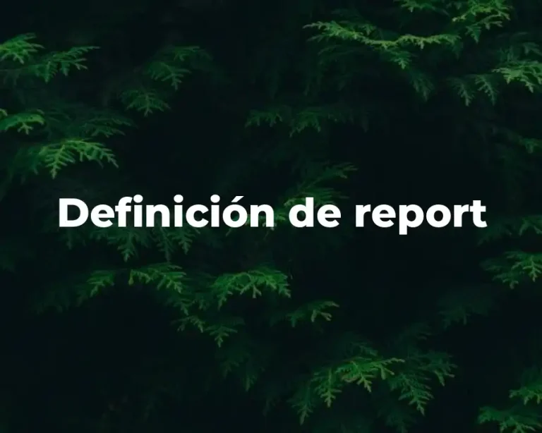Definición de report