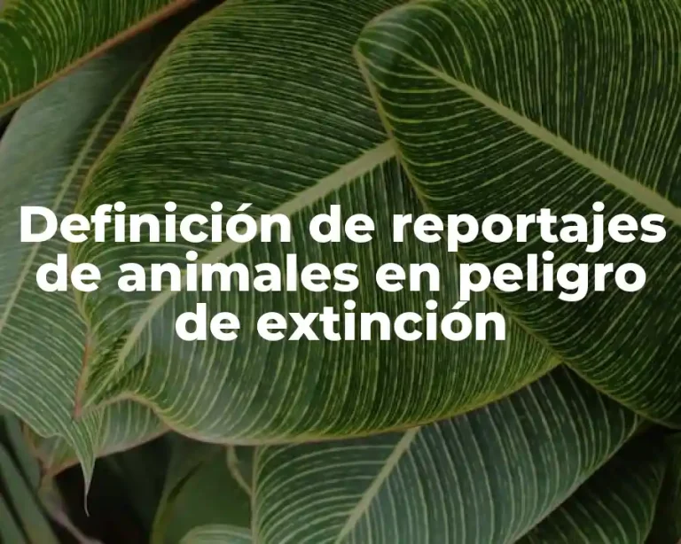 Definición de reportajes de animales en peligro de extinción