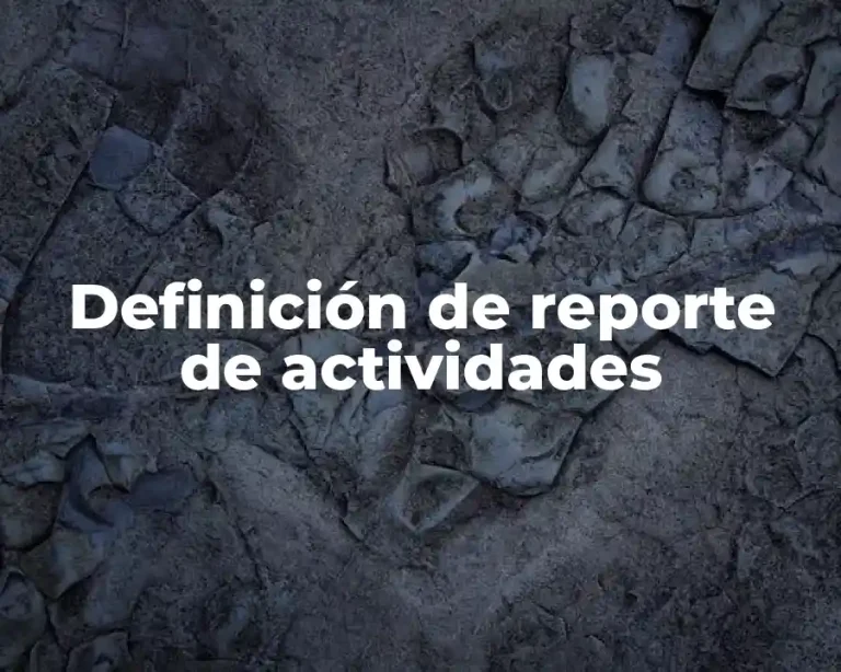 Definición de reporte de actividades