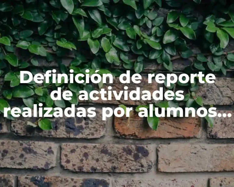 Definición de reporte de actividades realizadas por alumnos de programación