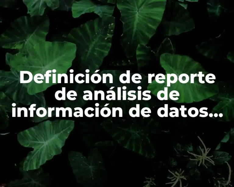Definición de reporte de análisis de información de datos cualitativos