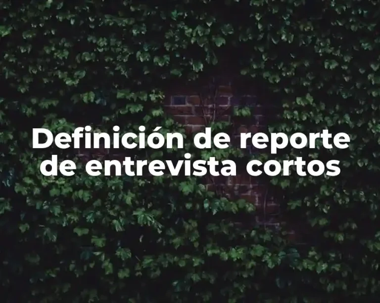 Definición de reporte de entrevista cortos