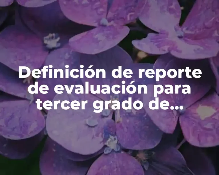 Definición de reporte de evaluación para tercer grado de preescolar