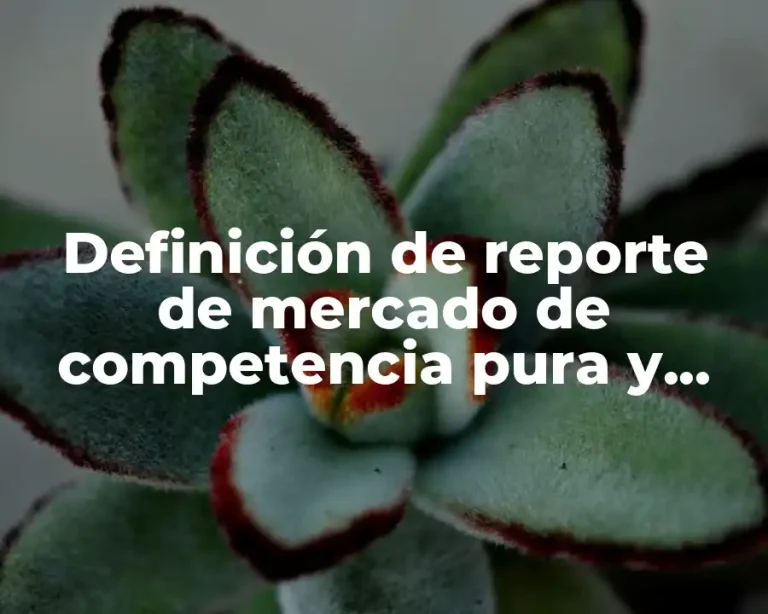 Definición de reporte de mercado de competencia pura y perfecta