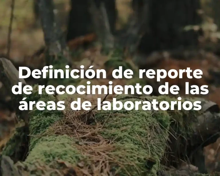 Definición de reporte de recocimiento de las áreas de laboratorios