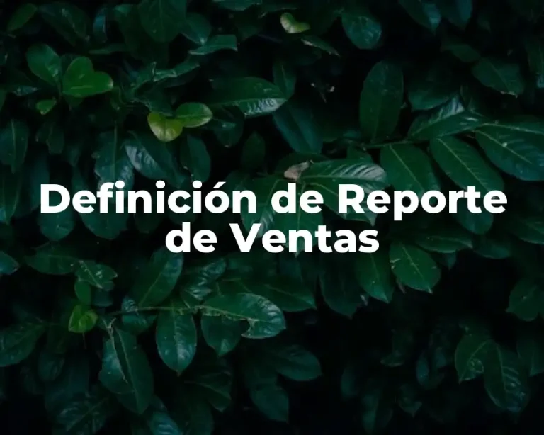 Definición de Reporte de Ventas
