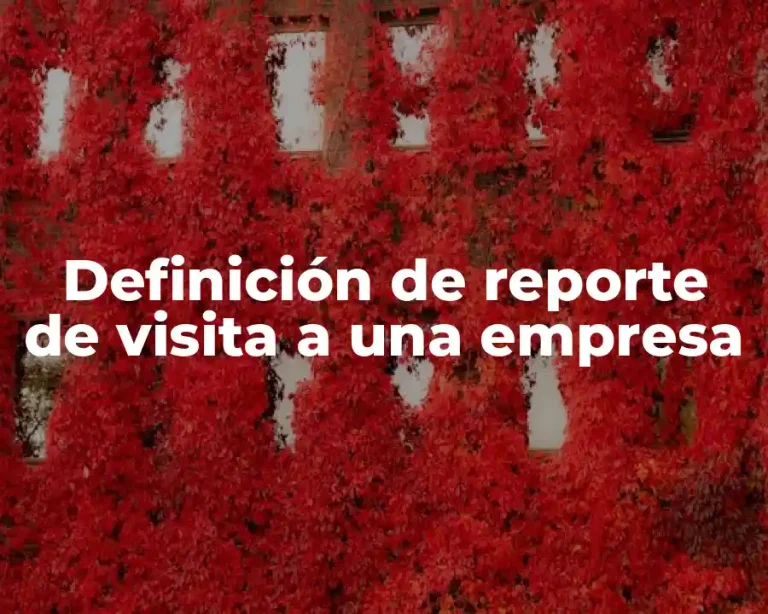 Definición de reporte de visita a una empresa