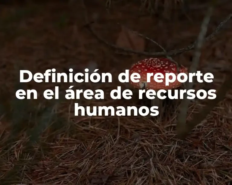 Definición de reporte en el área de recursos humanos