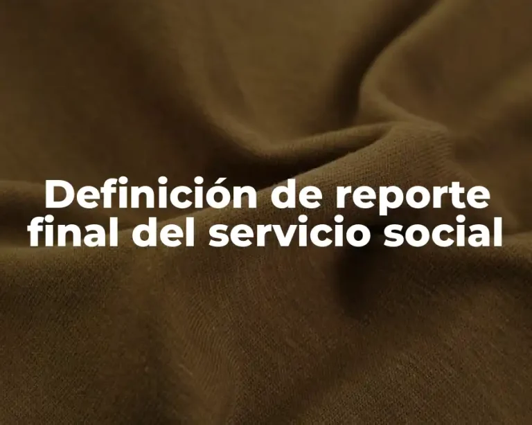 Definición de reporte final del servicio social