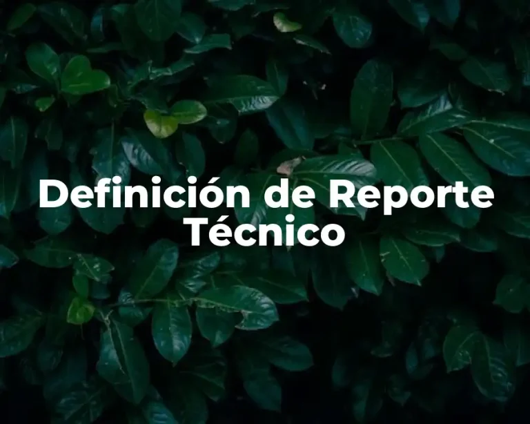 Definición de Reporte Técnico