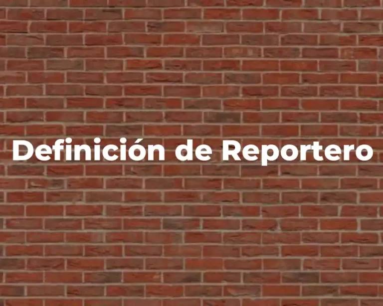 Definición de Reportero