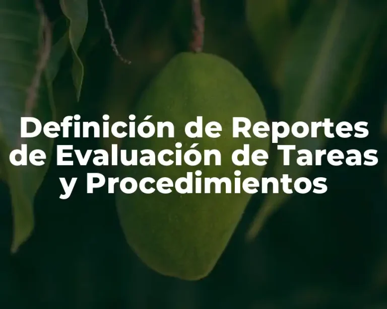 Definición de Reportes de Evaluación de Tareas y Procedimientos