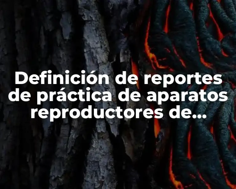 Definición de reportes de práctica de aparatos reproductores de porcinos