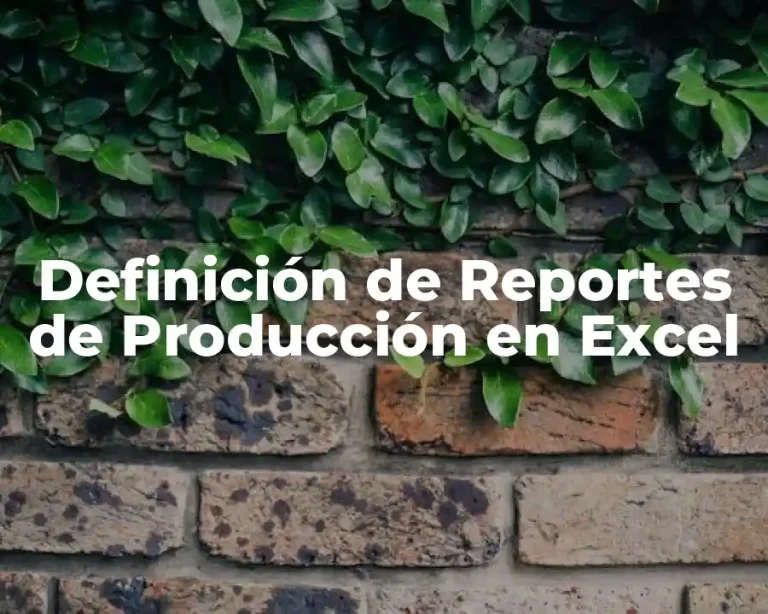 Definición de Reportes de Producción en Excel