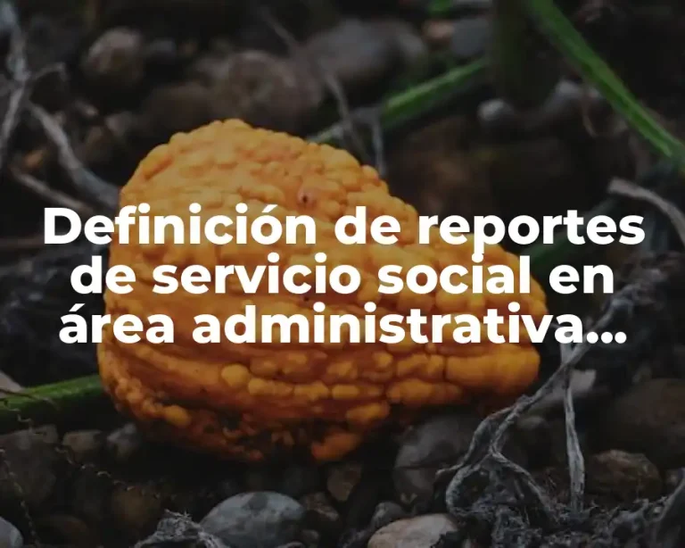 Definición de reportes de servicio social en área administrativa recomendaciones