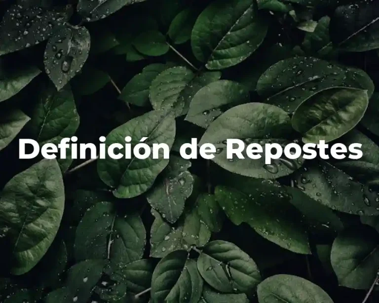Definición de Repostes