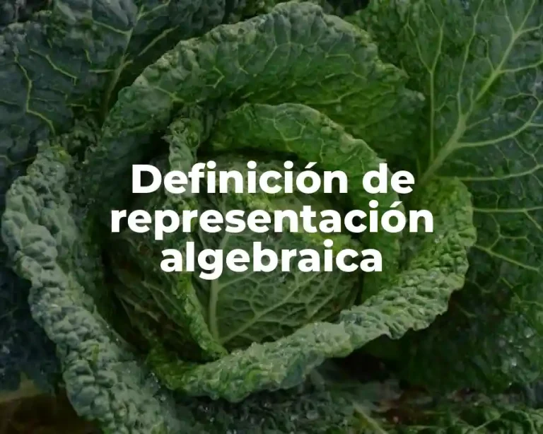Definición de representación algebraica