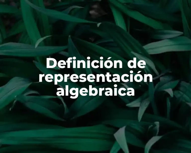 Definición de representación algebraica