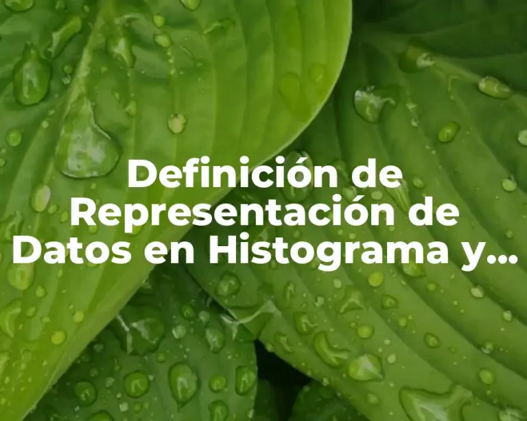 Definición de Representación de Datos en Histograma y Ejemplos