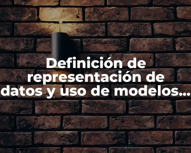 Definición de representación de datos y uso de modelos física