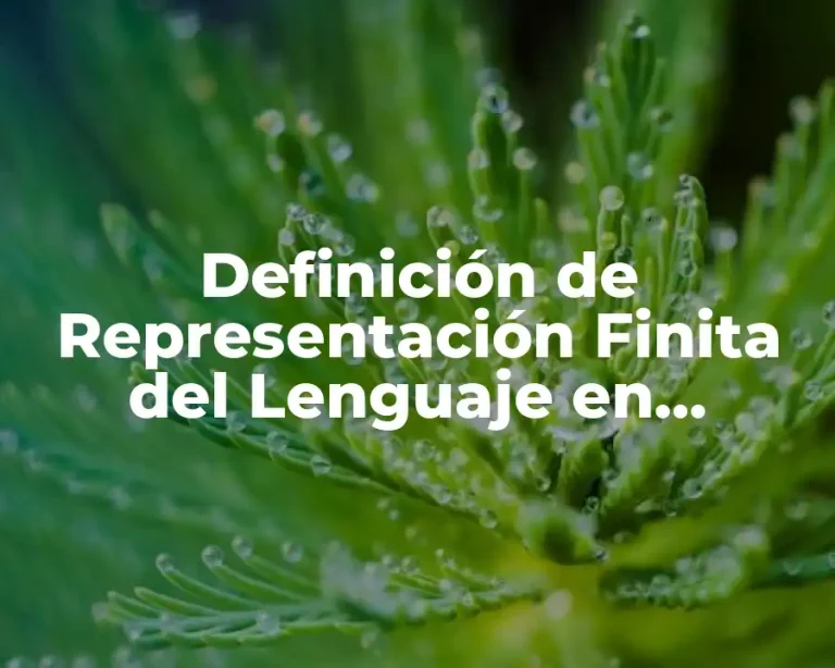 Definición de Representación Finita del Lenguaje en Informática