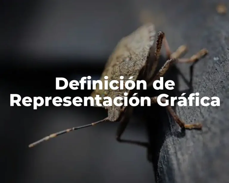 Definición de Representación Gráfica