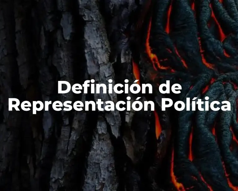 Definición de Representación Política