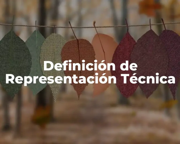 Definición de Representación Técnica