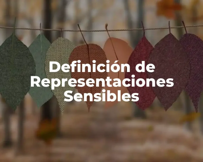 Definición de Representaciones Sensibles