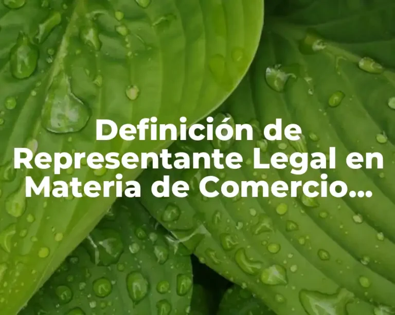 Definición de Representante Legal en Materia de Comercio Exterior