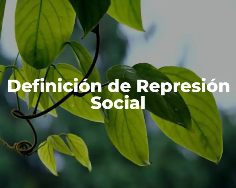 Definición de Represión Social
