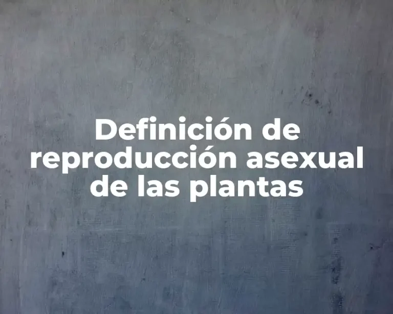 Definición de reproducción asexual de las plantas