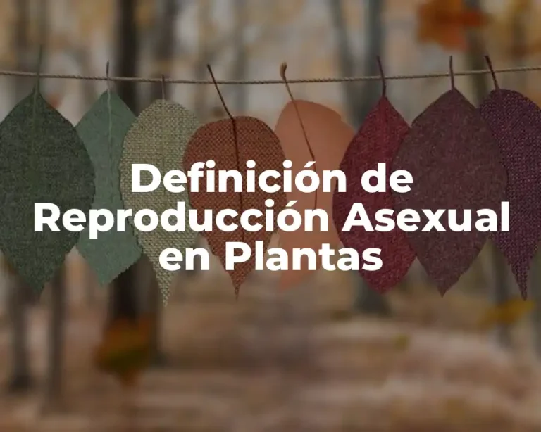 Definición de Reproducción Asexual en Plantas