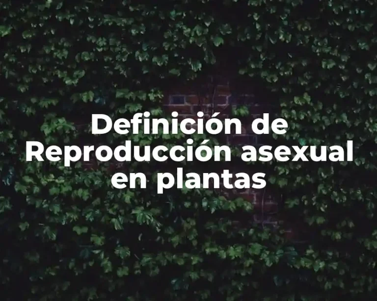 Definición de Reproducción asexual en plantas
