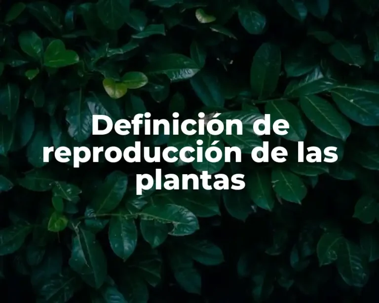Definición de reproducción de las plantas